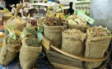 کارآفرینی با دست‌خالی/ دانشجویانی که از خاک، طلا آفریدند 