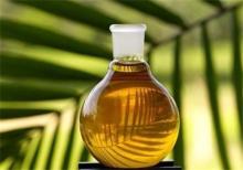 گزارش "شنیدنی" و شفاف از روغن پالم