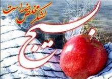 فرمان تشکیل بسیج مستضعفین/رحلت شیخ طوسی/درگذشت مبتکر پیوند کلیه در جهان