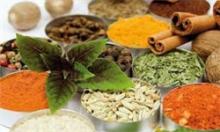 راه اندازی دانشکده طب سنتی در قم راه اندازی دانشکده طب سنتی در قم