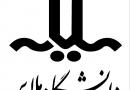 دانشگاه ملایر