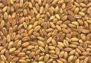 افزایش ۹۹ درصدی واردات گندم نسبت به ۲ ماه نخست سال قبل