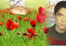 متنی بی نظیر به قلم شهید علی خلجی از شهدای شهرستان رزن 